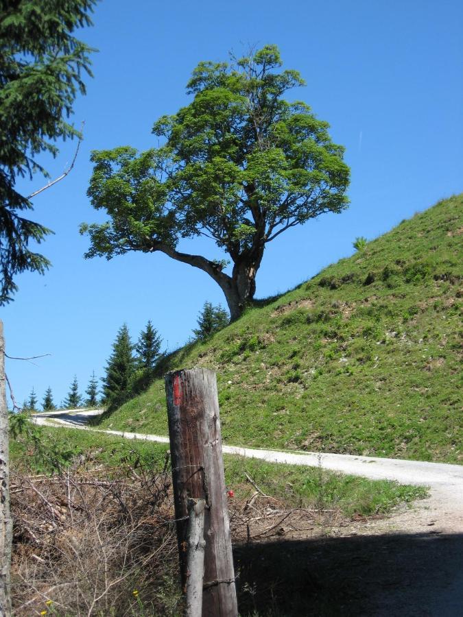 Silber Lodge Im Wiesenstein 아우파흐 외부 사진